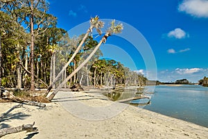 The lagoon at Hunting Island Park, SC