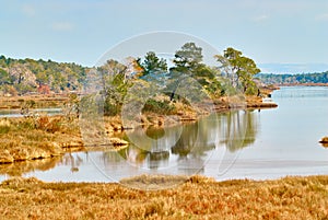 Lagoon of karavasta in Albania