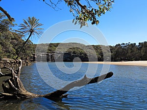 Lagoon landscape Australian national park