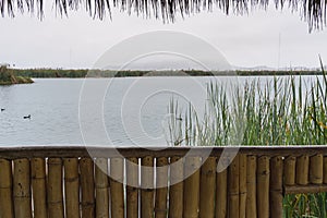 Lagoon lookout in Pantanos de Villa photo