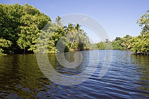 Lagoon, between mangrove and water mirrors, La Ventanilla, small town on the beach, Oaxaca, Mexico