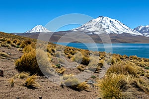 Lagoon Miscanti, lake high in the Andes Mountains in the Atacama Desert, northern Chile, South America