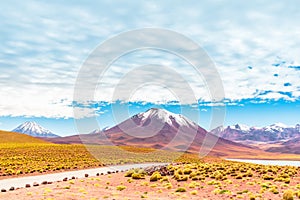 Lagoon Miscanti and volcano Licancabur in the Altiplano of Chile