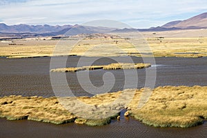 Lagoon near the Pucara de La Alumbrera at the Puna de Atacama, Argentina