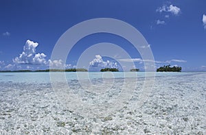 Lagoon, palm trees and turquoise water, vacation in french Polynesia