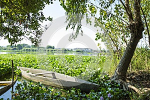 Lagoon park of Pateira de Fermentelos,Portugal.