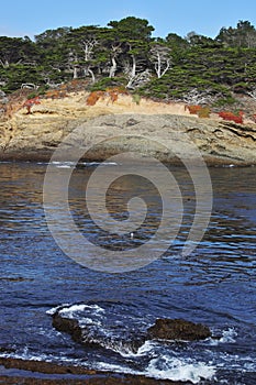 A lagoon in the Point Lobos