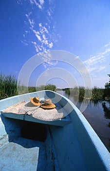 Lagoon Ride Vertical