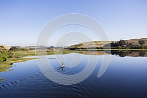 Lagoon River Paddler Solitude