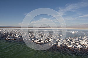 Lagoon saltwater, Chile