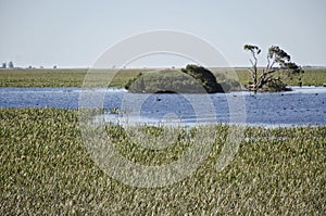 Lagoon sanctuary of South Australia