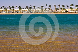 Lagoon, Sand and Palms