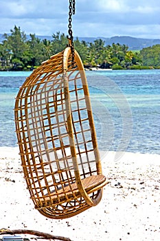 lagoon seat osier seaweed in nosy be indian