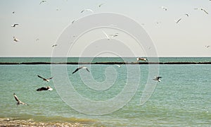 Lagoon of Somone wellknown for birds reserve, peace place for turism in Senegal