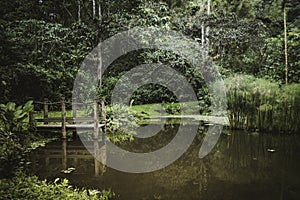 Lagoon, surrounded by a lot of wild vegetation