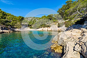 Lagoon surrounded by trees.