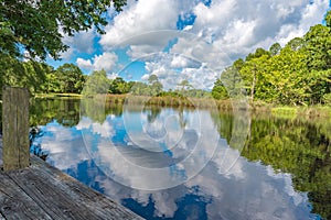 Lagoon Swamp sky reflection water