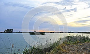 Lagoon of Tarelo and marshes of Bonanza in the National Park of DoÃ±ana, sothern Spain