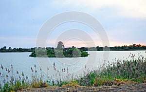 Lagoon of Tarelo and marshes of Bonanza in the National Park of DoÃ±ana, southern Spain