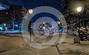 The lagoon of the town of Cherven bryag in Bulgaria at the blue hour