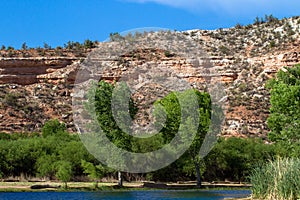 Water from the Verde River fills the lagoon, or marsh, at Dead Horse Ranch State Park near Cottonwood, Arizona