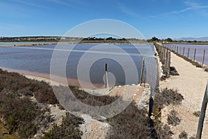 Lagoons in the Salinas del Pinet, La Marina, Alicante, Spain