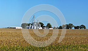 Lagre family farm scene