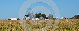 Lagre family farm scene