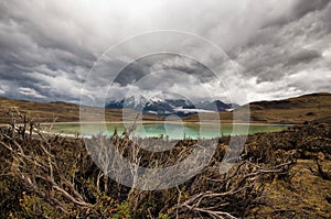 Laguna Amarga in Torres Del Paine