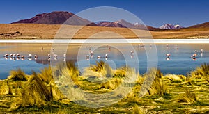 Laguna in the Atacama Desert Salt Flats, Bolivia