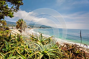 Laguna beach California, view from Heisler park