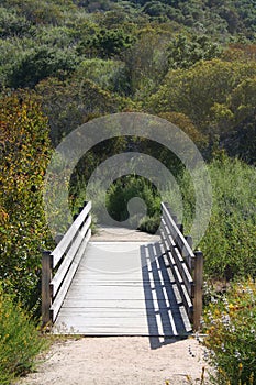 Laguna Beach Canyon Wilderness Hiking Trail