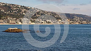 Laguna Beach hillside with homes and ocean