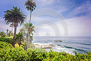 Laguna Beach landscape