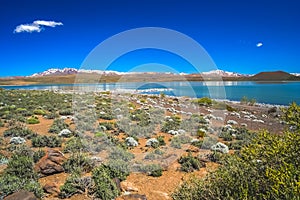 Laguna Blanca in Argentina photo