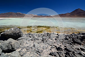 Laguna Blanca. Eduardo Avaroa Andean Fauna National Reserve. Bolivia