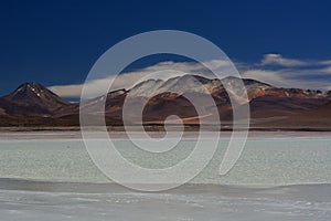 Laguna Blanca. Eduardo Avaroa Andean Fauna National Reserve. Bolivia photo