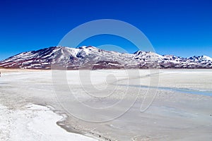 Laguna Blanca landscape,Bolivia