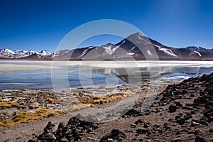 Laguna Blanca is a salt lake at the foot of the volcanos Licancabur and Juriques - Eduardo Avaroa Andean Fauna National Reserve, photo