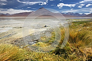 Laguna Blanca at Siloli desert & x28;Bolivia& x29; photo