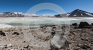 Laguna Blanca White lagoon and Licancabur volcano, Bolivia