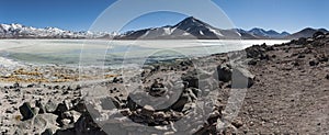 Laguna Blanca White lagoon and Licancabur volcano, Bolivia