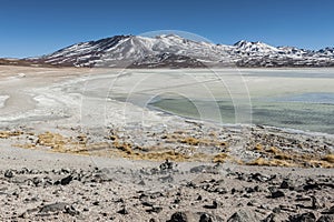 Laguna Blanca White lagoon and Licancabur volcano, Bolivia