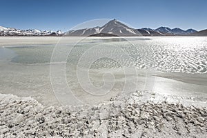 Laguna Blanca White lagoon and Licancabur volcano, Bolivia