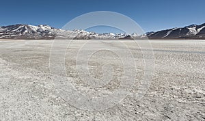 Laguna Blanca White lagoon and Licancabur volcano, Bolivia