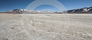 Laguna Blanca White lagoon and Licancabur volcano, Bolivia