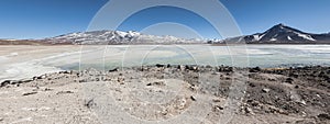 Laguna Blanca White lagoon and Licancabur volcano, Bolivia