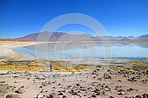 Laguna Blanca or `The White Lake` in Eduardo Avaroa Andean Fauna National Reserve, Potosi Department of Bolivia