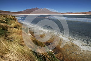 Laguna Canapa, Bolivian Andes photo