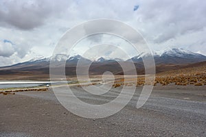 Laguna Capina, Atacama Desert